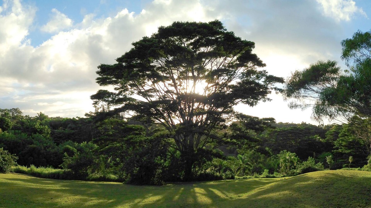 Pauwela Apartment | Peaceful Haiku Retreat Beach 10 Min & Paia 15 Min