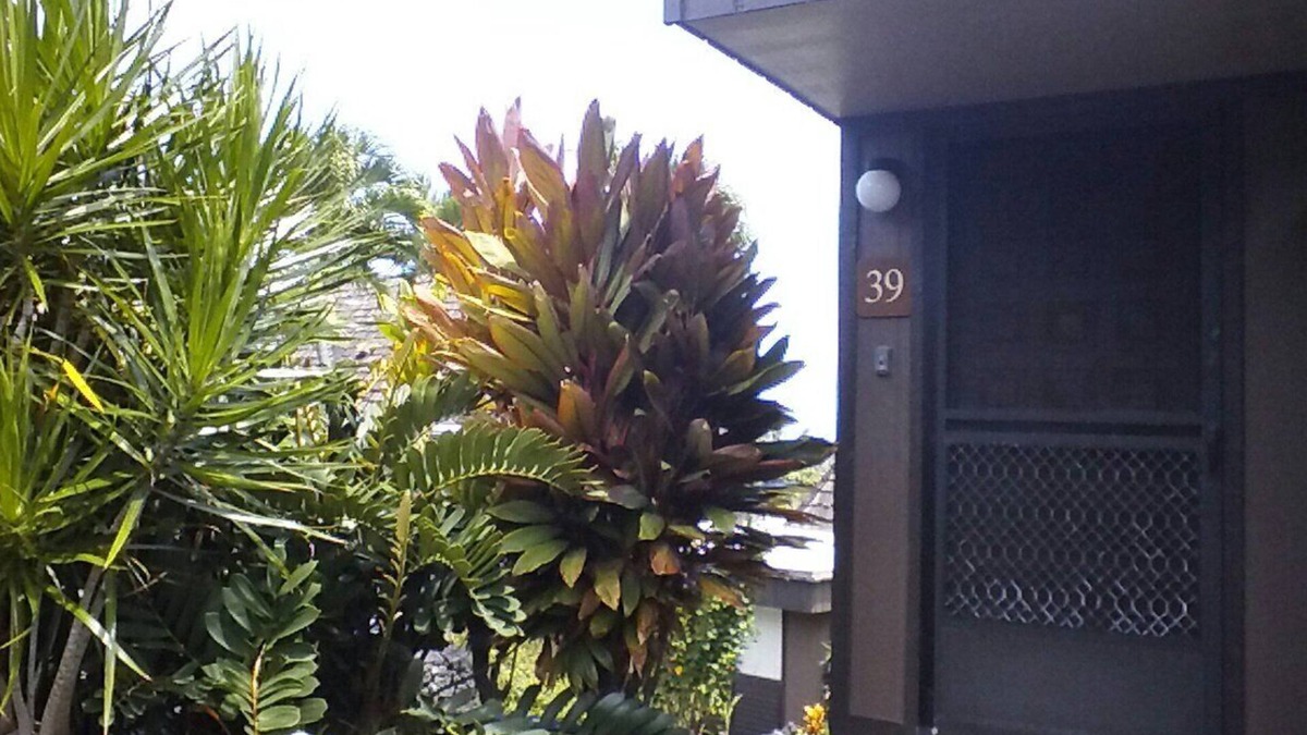 Punaluu Condo | Relaxing Studio Condo Getaway, Minutes From Black Sand Beach *Newly Renovated*
