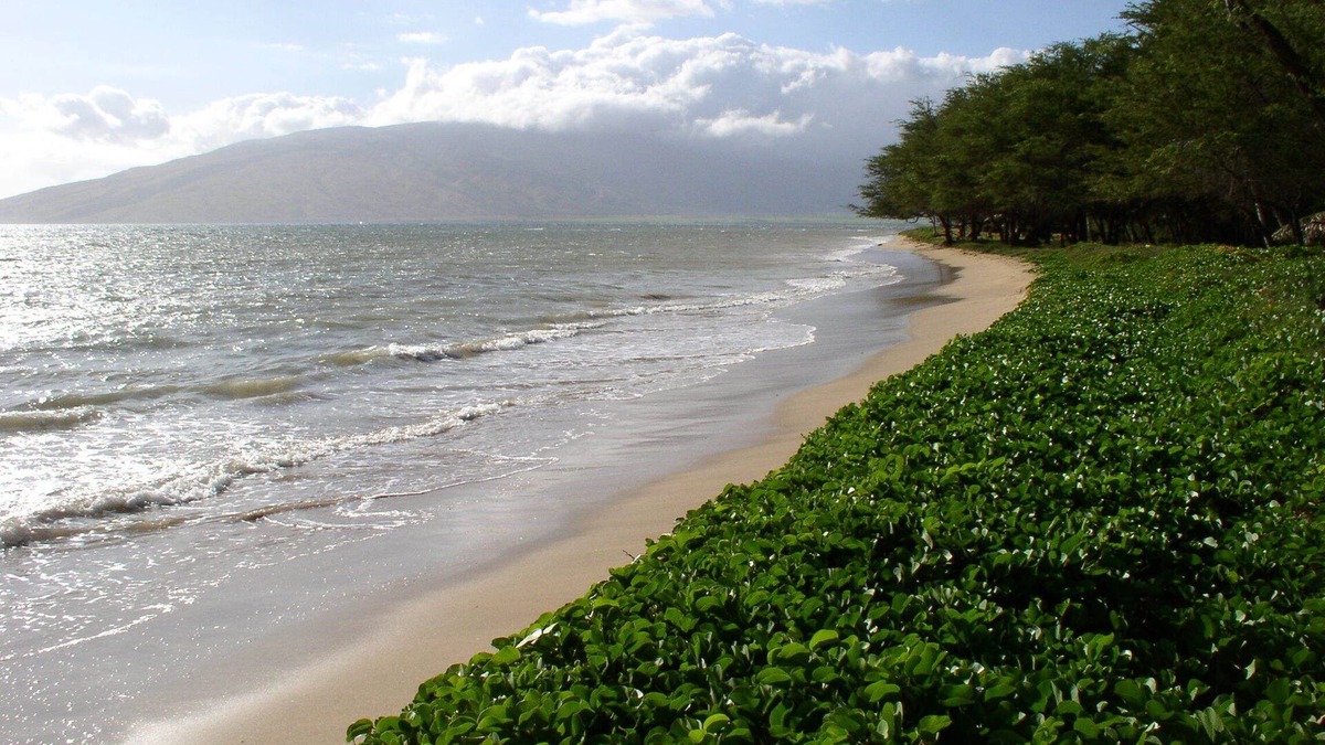 Kihei House | Spectacular Maui Beachfront 3 Bdr. Home - Great Location - Family Friendly