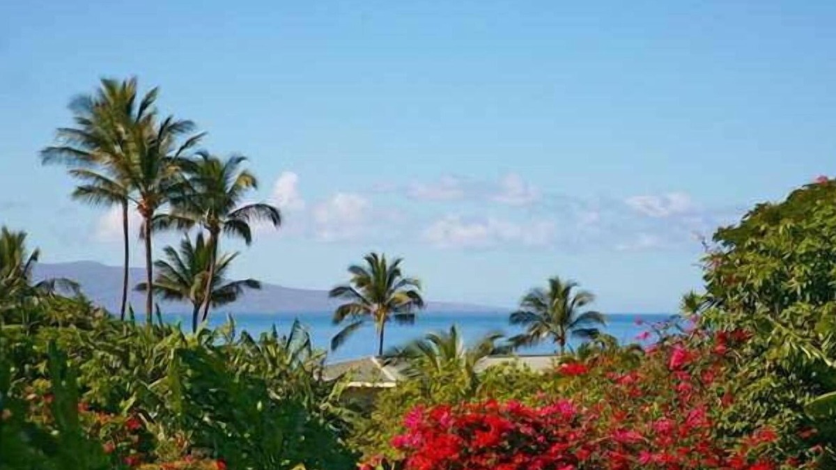 Wailea Condo | STUNNING OCEAN VIEW CONDO! Fully Remodeled! Ground!Private!Bunks!Large Lanai!