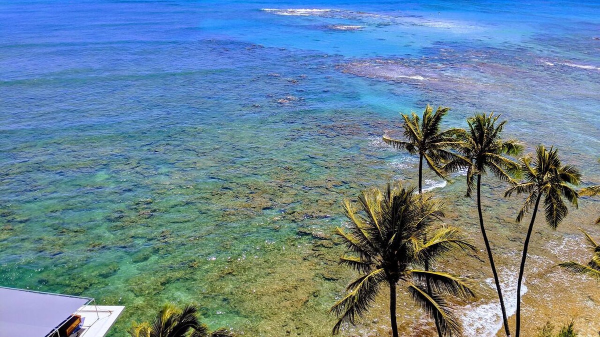 Diamond Head - Kapahulu - St. Louis Condo | Summer Prices! Diamond Head Gem 1 bdr oceanfront condo, surfing, sunset views.