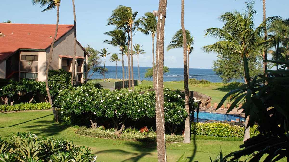 Kihei Condo | Summer Sale,Oceanfront/Ocean view condo in S. Maui,Free A/C, Wifi,Parking, Pool!