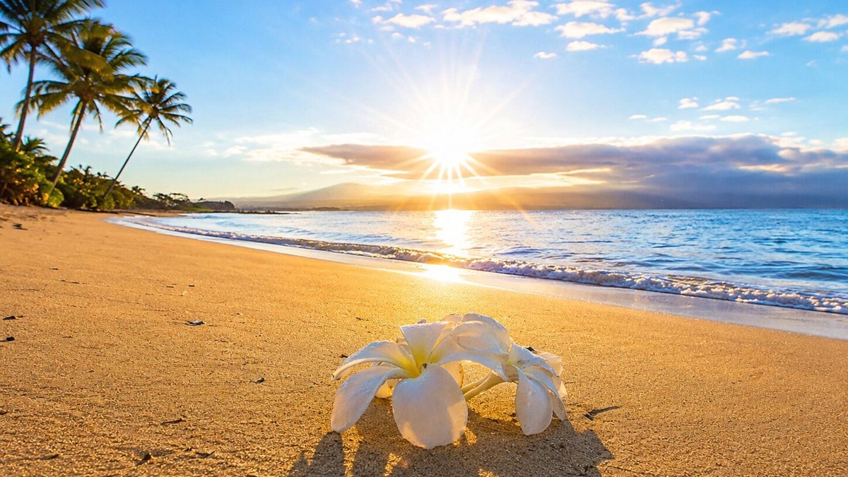 Maalaea Condo | Summer Specials-Luxury Ocean Front Condo Free Wi-Fi. Legal Rental