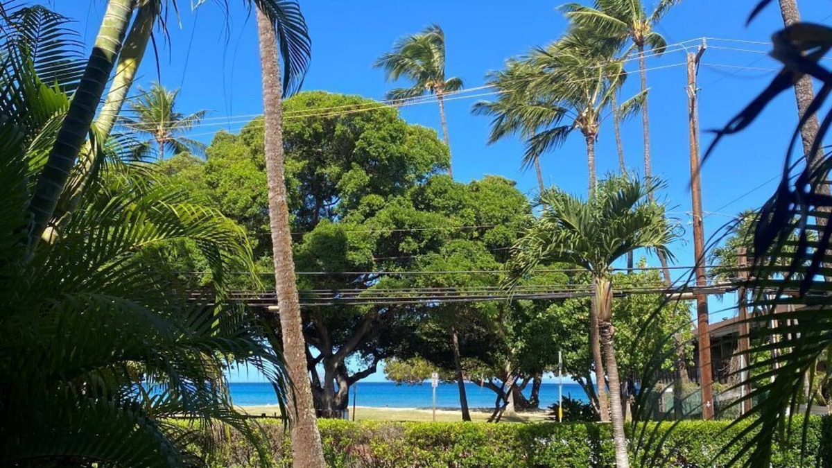 Honokowai Condo | The beach is waiting! Super cute unit,1 min walk to the beach across the street