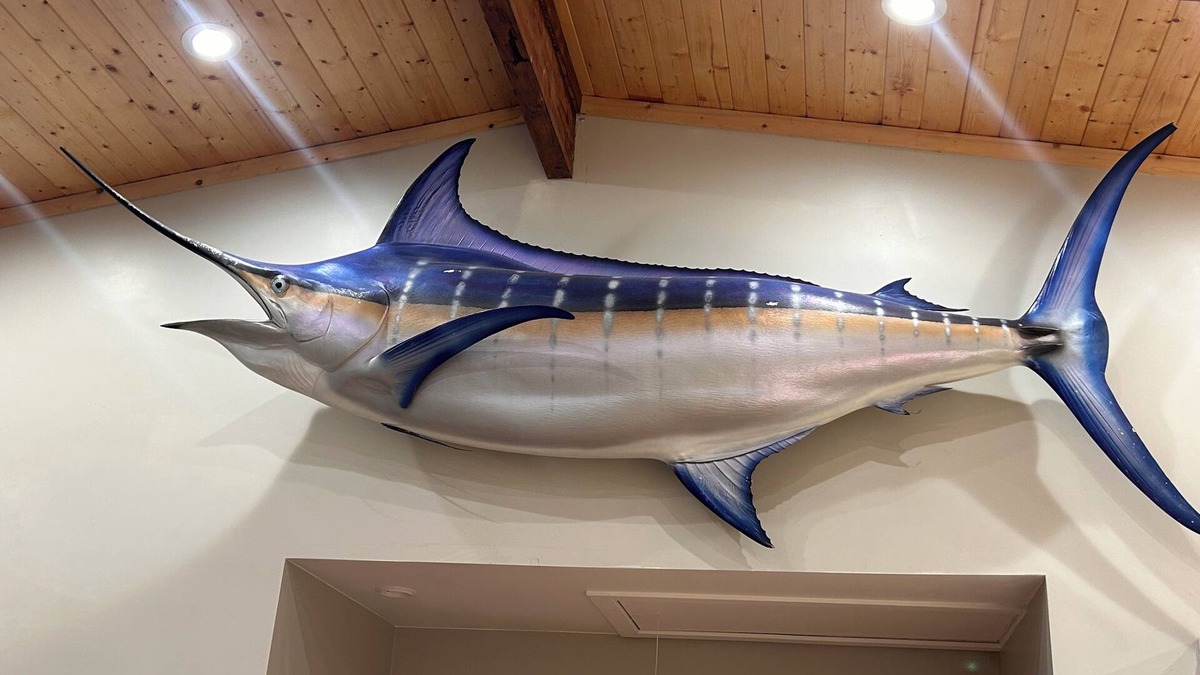 Ocean View House | The Marlin house