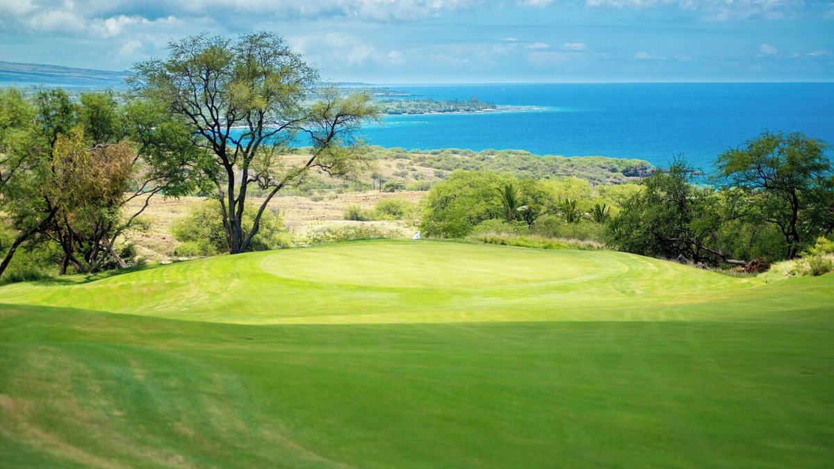 Kamuela Resort | The Westin Hapuna Beach Resort