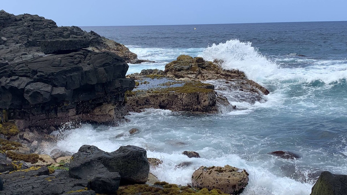 Keaau House | Tropical Hideaway near Hilo