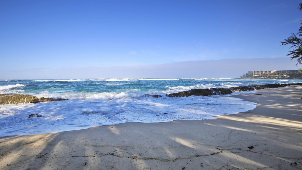 Kahuku Condo | Turtle Bay Primrose*ta-016722124801 1 Bedroom Condo by RedAwning