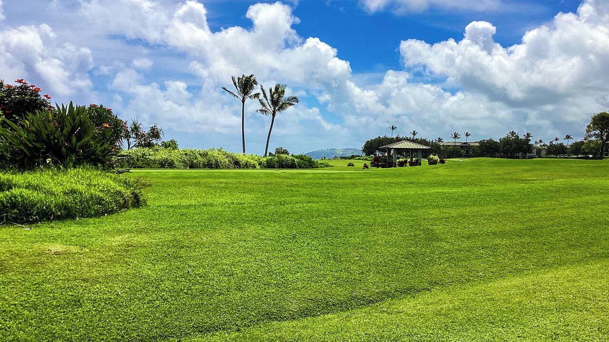 Princeville Condo | Updated Princeville home with Ocean Views, Minutes from Shops/Dining/Beaches