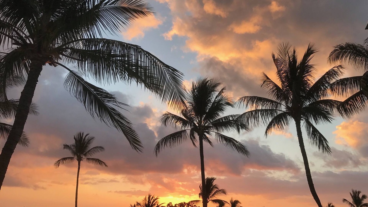 Waikoloa Condo | Vista A201 · Ocean-View, steps to beach & pool