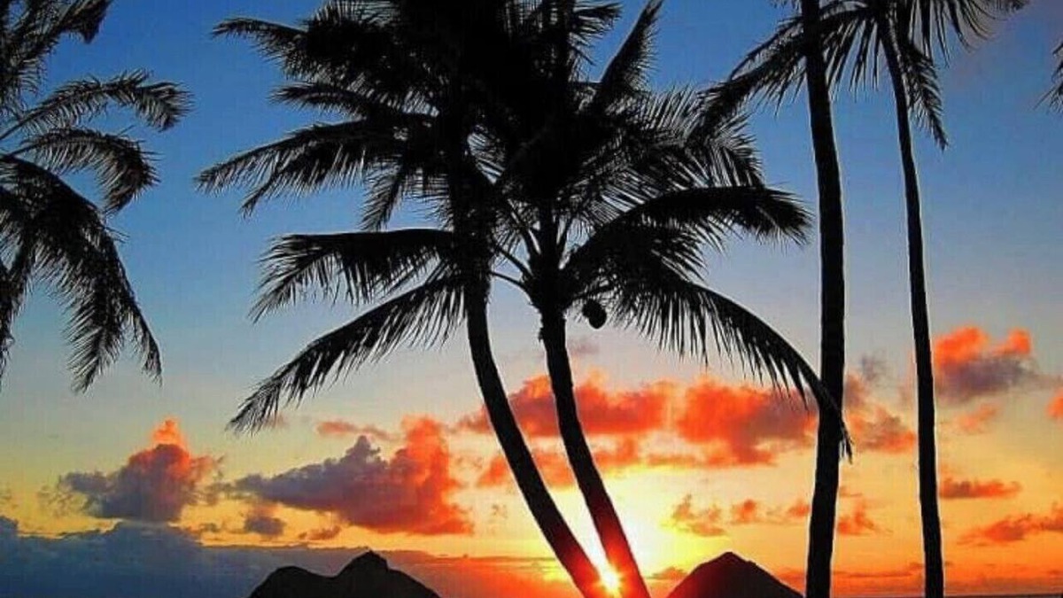 Waikiki Apartment | Waikiki studio USD68.00 per day