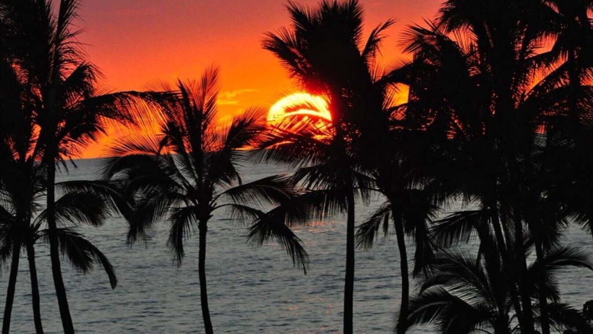 Wailea Condo | Wailea, Maui, #207 Full AC, 1st FL Expansive Lanai Salt H20 Pool & Walk to Beach