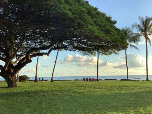 Waimea Cabin | Waimea Plantation Cottages, a Coast Resort
