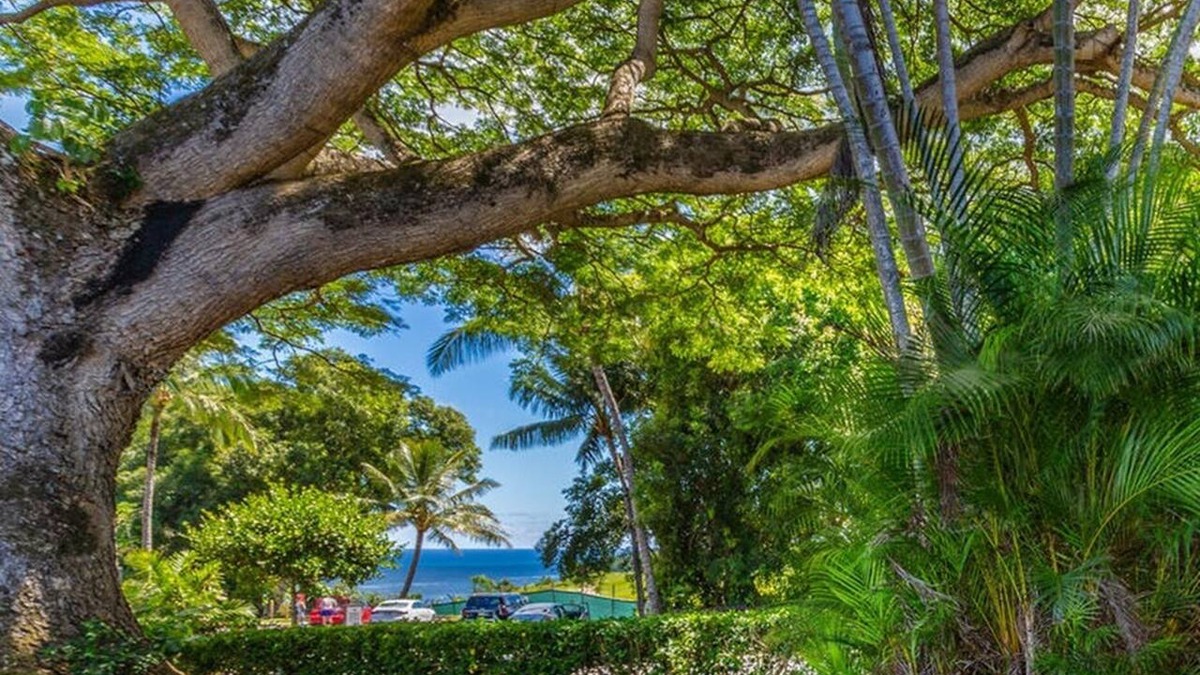 Princeville Condo | Walk to Beaches, Dining & More in Princeville,Charming Cottage-Like Townhouse