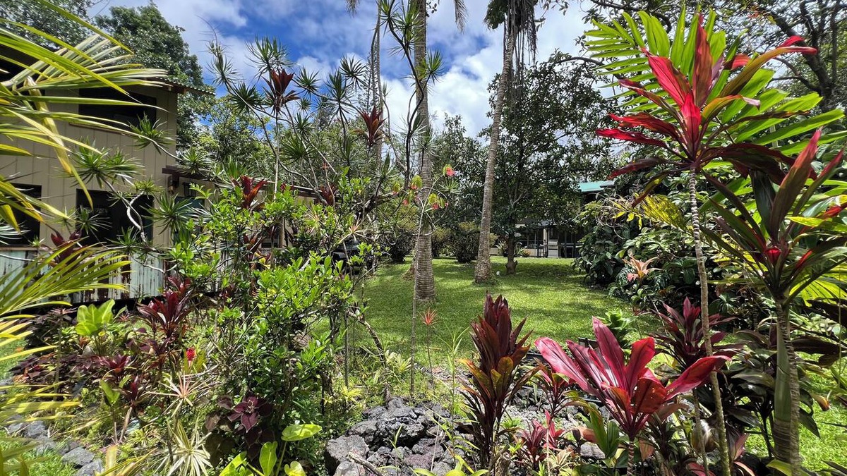 Kapoho House | Welcome to the Jungle! A true magical experience for any occasion!