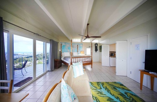 Diamond Head - Kapahulu - St. Louis Apartment | 4 Mi to Beaches: Honolulu Hideaway w/Views!