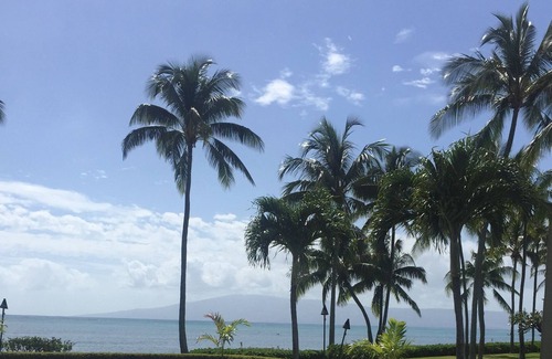 Ualapue Apartment | About As Close to the Ocean As You Can Get!!! (Wavecrest Resort)