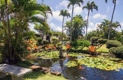 Kapaa Condo | Adorable 1-bedroom Kapaa condo w/AC on the Bike path in ocean front Pono Kai