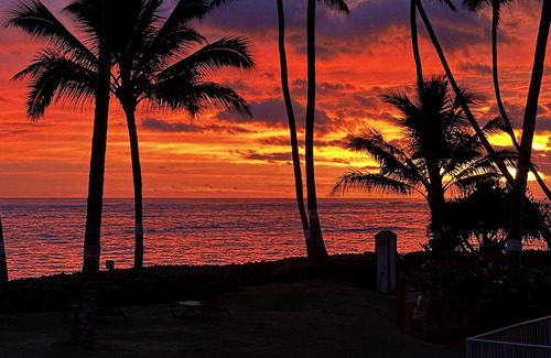 Punaluu Condo | All about that location :) Renovated Oceanfront Retreat!