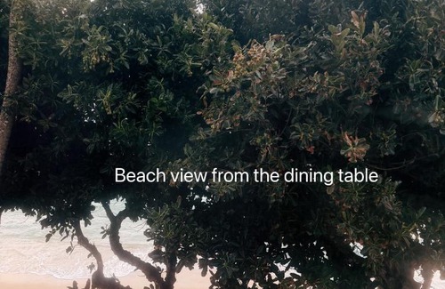 Punaluu Apartment | Beachfront 180 Degree Ocean View Monthly Rental