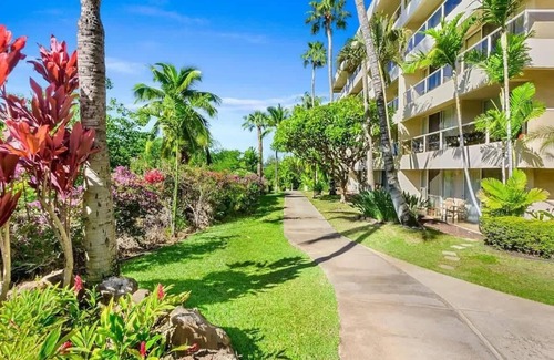 Kihei Condo | Beachfront Studio | Walk to Kamaole Beach + Pools
