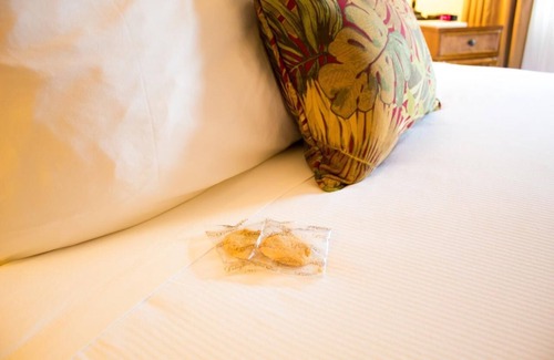 Volcano Hotel | Better Choice for your Vacation! Crater View Unit for 4, Free Parking!