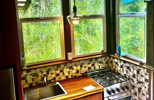 Kapoho Hotel | Blue Orchid Cabin w/Tropical Garden Access