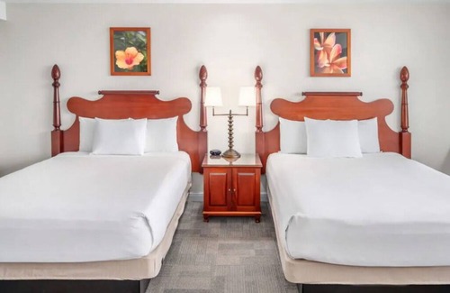 Kahului Hotel | Experience Aloha | Prime Maui Location | Oceanfront Room w/Outdoor Pool Access