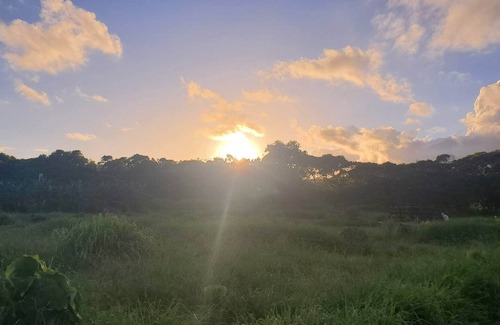 Laie House | Nanz Campervan Rental + OverNight Parking at Maleka Farm - NS Oahu
