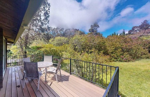 Volcano House | New Fall $pecial Nearly Two Rainforest Acres by Volcanoes National Park