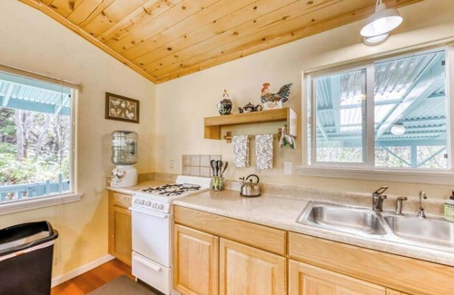 Mountain View House | *New* Fall Special Volcano Forest Hideaway, 10 Minutes to the Park