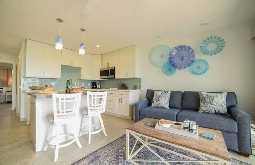 Honokowai Condo | OceanFront 1BD w Lanai AC Steps from Beach - Hoyochi Nikko 105