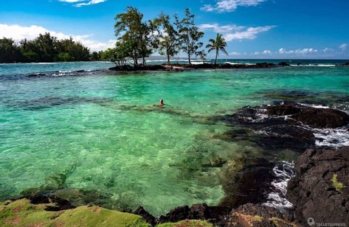 Hilo Apartment | Oceanfront, Friendly Sea Turtles, Epic Snorkeling!