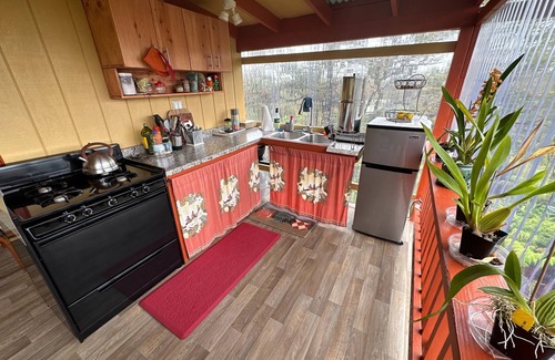 Fern Forest Apartment | Peaceful 1-bedroom studio in Volcano