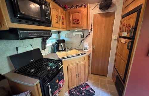 Kapoho Cabin | RV in a Rainforest Tree! - A true jungle experience with a super fun vibe!