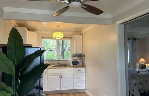 Ocean View Condo | Starfish Studio Newly remodeled beautiful studio