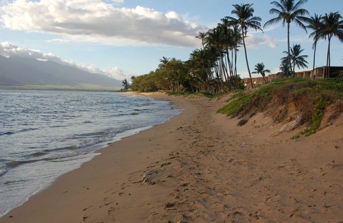Kihei Condo | THE BEST KEPT SECRET ON MAUI ! LITTLE PEACE OF PARADISE