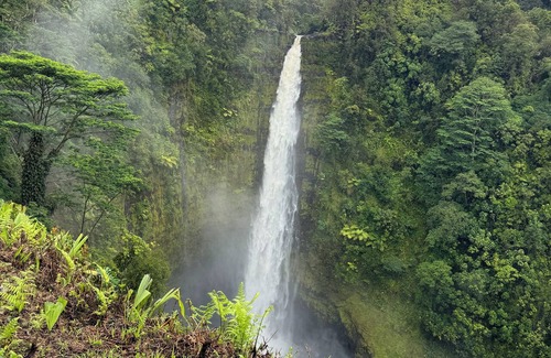Kapoho House | Tropical Rainforest Escape - Volcanoes, Beaches & Adventure