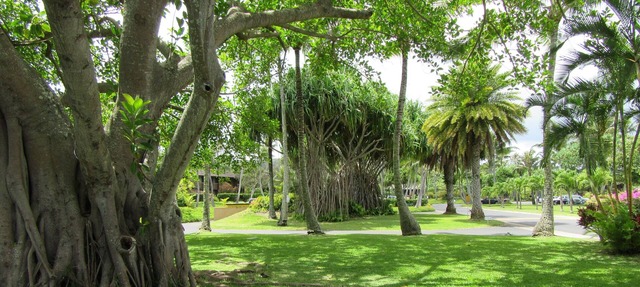 1 bedroom, walk to beach and resort, the perfect place to enjoy the North Shore