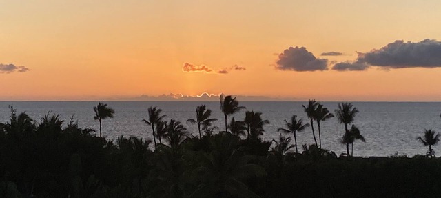 199 per nt, before taxes and fees, ALOHA! 5 Star Luxury, central AC included.