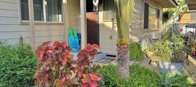 2-bedroom cottage, steps from the ocean, AC, parking