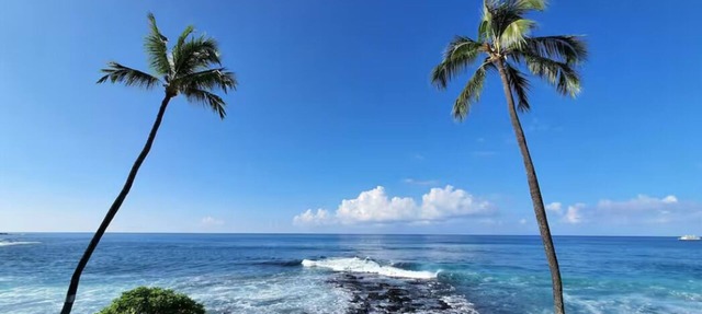 2 mins Hon'l Beach, 1 Bed Condo with full kitchen, AC, WiFi, laundry, pool, BBQ