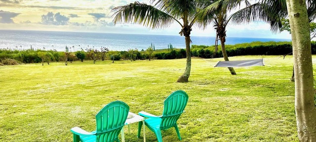 A Whale Crossing Vacation Rental North Shore, Big Island