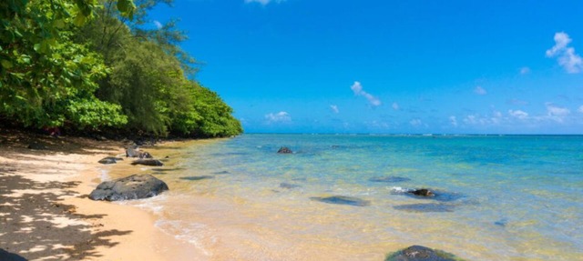 Amazing Ocean Front Condo at Pono Kai 2 Bd, 2 Ba, Sleeps 6