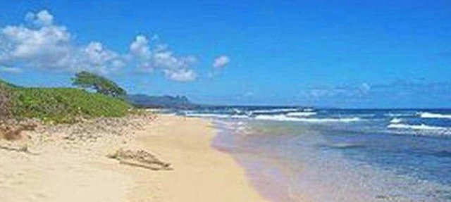 August Sale! Ocean-View Lihue Resort Condo with Pools, Gym & Spa Access