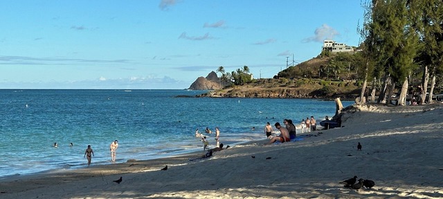 BAREFOOT-BEACH-RETREAT, 2BR, NEWLY FURN. WALK-2-BEACH/BUZZ'S=2 MIN, KAʻOHAO SCH.