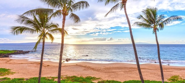 Beachfront Condo B303 - December 13-27 Still Available!