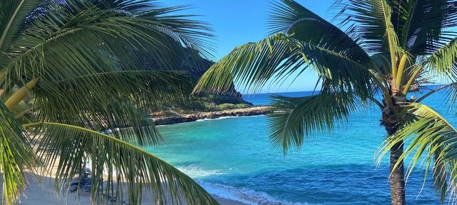 Beachfront Paradise Luxury condo Oahu Hawaii