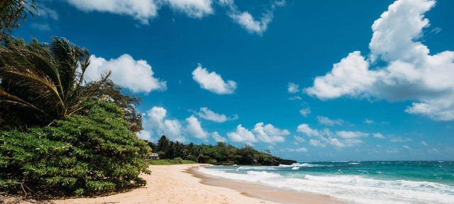 Beachfront Private, N. Shore & Legal Vacation!