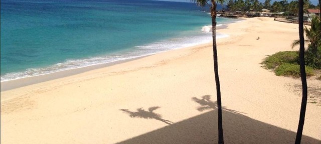 Beautiful Beaches and best snorkeling on island. Golf course nearby.